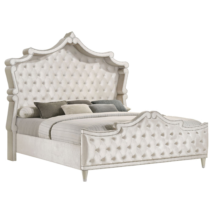 Antonella Beds - National Warehouse Furniture (Buffalo, NY)