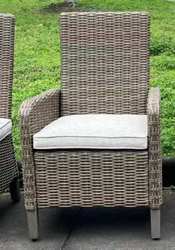 Laguna Heights Arm Chair with Cushion (Set of 2) - National Warehouse Furniture (Buffalo, NY)