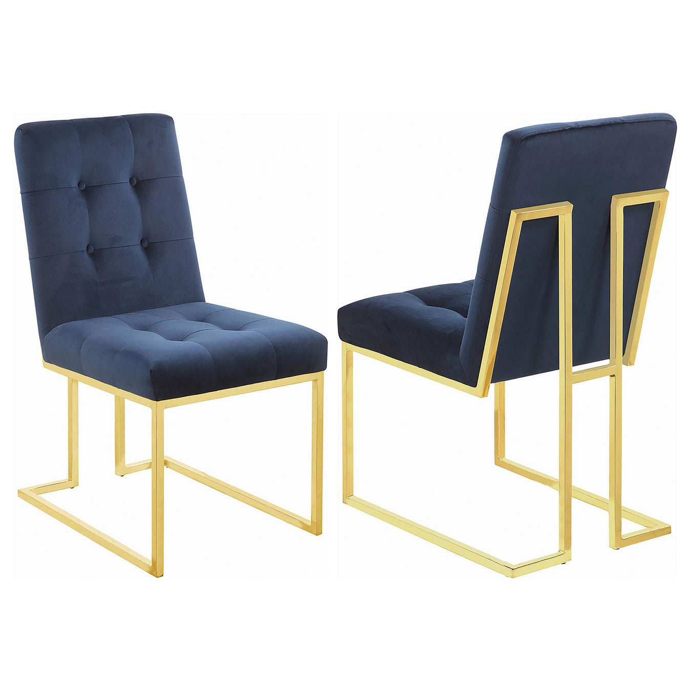 Blue / Gold