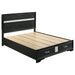 Miranda California King. E.King, & Queen 2-drawer Storage Bed Black & White - National Warehouse Furniture (Buffalo, NY)