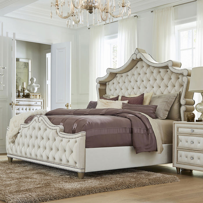 Antonella Beds - National Warehouse Furniture (Buffalo, NY)
