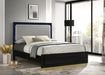 Caraway California King, E.King, & Queen Bed Black & White - National Warehouse Furniture (Buffalo, NY)