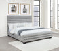Patricia Beds - National Warehouse Furniture (Buffalo, NY)