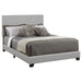 Dorian Beds - National Warehouse Furniture (Buffalo, NY)