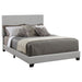 Dorian Upholstered California King, E.King, & Queen Bed Black, Brown, & Grey - National Warehouse Furniture (Buffalo, NY)