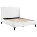 Mosby Queen Beds - National Warehouse Furniture (Buffalo, NY)