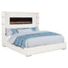 Tisdall Beds - National Warehouse Furniture (Buffalo, NY)