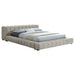 Trinity California King, E.king, Queen, & Full Bed Green & Light Taupe - National Warehouse Furniture (Buffalo, NY)
