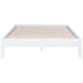 Hounslow Platform Bases - National Warehouse Furniture (Buffalo, NY)