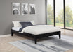 Hounslow Platform Bases - National Warehouse Furniture (Buffalo, NY)