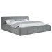 Wilshire California King, E.king, & Queen Bed - National Warehouse Furniture (Buffalo, NY)