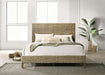Zyla California King, E.King, & Queen Bed - National Warehouse Furniture (Buffalo, NY)