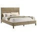 Zyla California King, E.King, & Queen Bed - National Warehouse Furniture (Buffalo, NY)