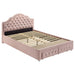 Ashleigh Full & Twin Bed - National Warehouse Furniture (Buffalo, NY)