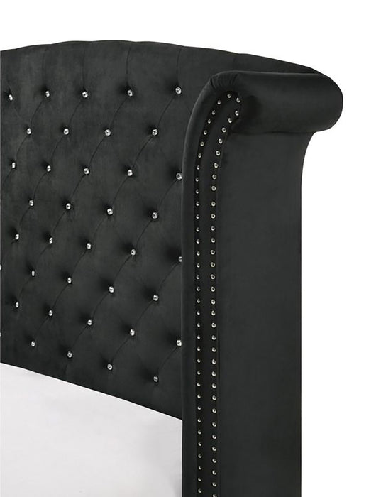 Crown Mark Furniture Lucinda Queen Upholstered Panel Bed in Black B9265-Q - National Warehouse Furniture (Buffalo, NY)