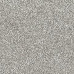 Amiata Upholstery Package - National Warehouse Furniture (Buffalo, NY)