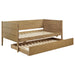 Calinda Daybeds - National Warehouse Furniture (Buffalo, NY)