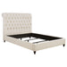 Devon Queen Beds - National Warehouse Furniture (Buffalo, NY)