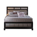 Barzini Queen Upholstered Bed Black and Grey - National Warehouse Furniture (Buffalo, NY)