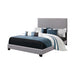 Boyd California King, King, & Queen Upholstered Bed with Nailhead Trim Charcoal & Grey - National Warehouse Furniture (Buffalo, NY)