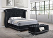 Barzini California King, E.King, & Queen Tufted Upholstered Bed Black - National Warehouse Furniture (Buffalo, NY)