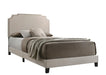 Tamarac Upholstered Nailhead Full, Eastern King & Queen Bed Beige & Grey - National Warehouse Furniture (Buffalo, NY)