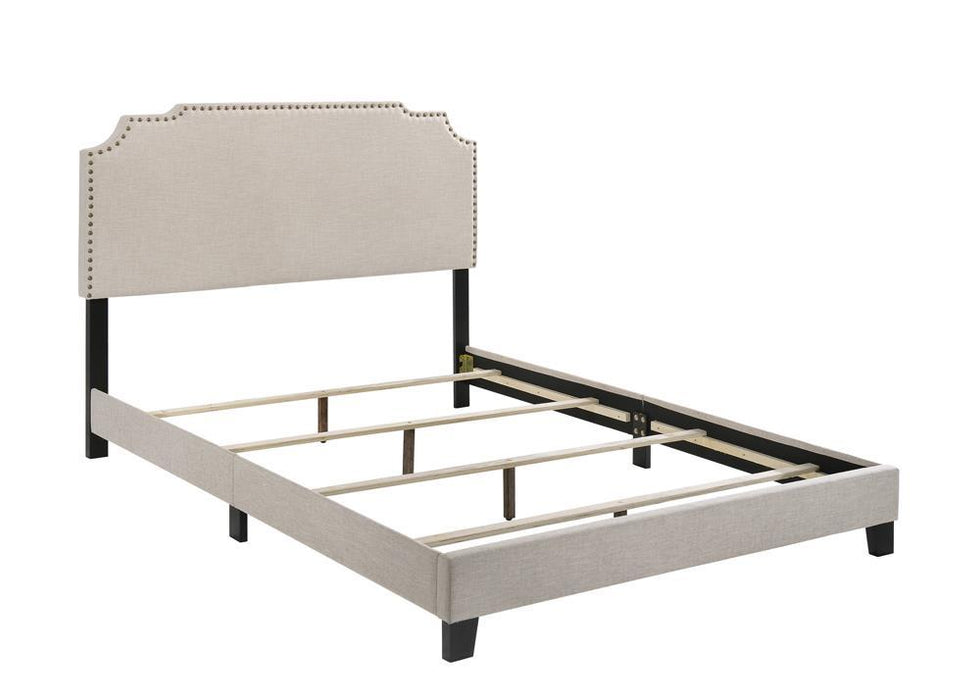 Tamarac Upholstered Nailhead Full, Eastern King & Queen Bed Beige & Grey - National Warehouse Furniture (Buffalo, NY)