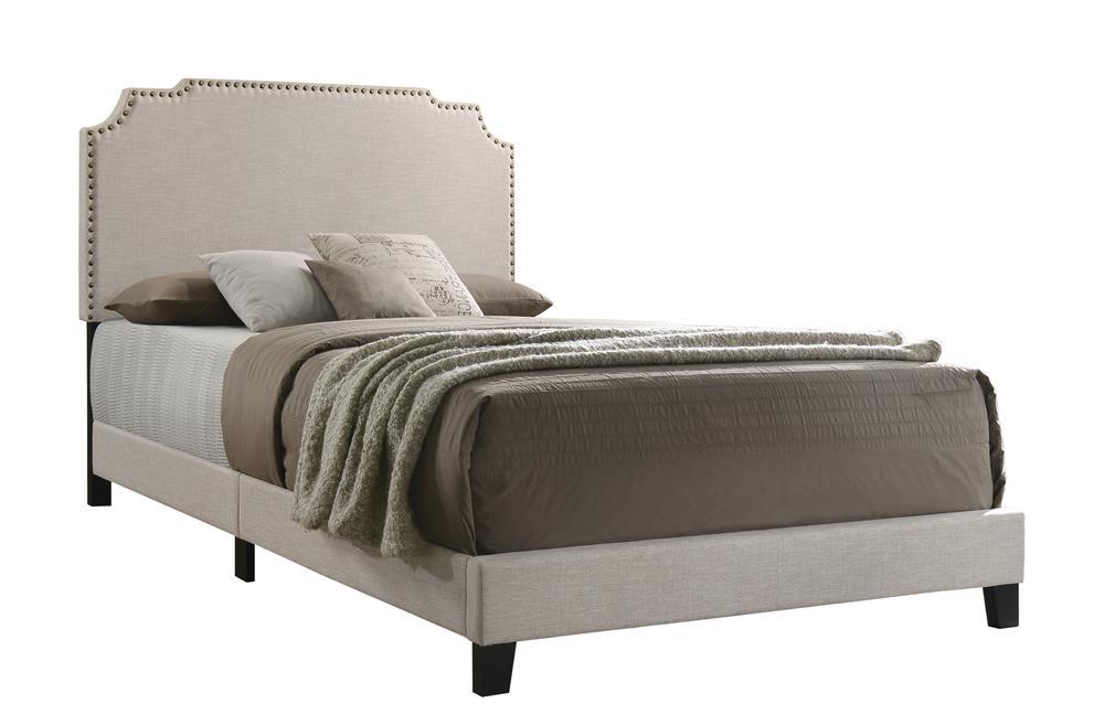 Tamarac Upholstered Nailhead Full, Eastern King & Queen Bed Beige & Grey - National Warehouse Furniture (Buffalo, NY)
