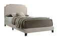 Tamarac Upholstered Nailhead Full, Eastern King & Queen Bed Beige & Grey - National Warehouse Furniture (Buffalo, NY)