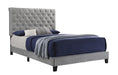 Warner Eastern King Upholstered Bed Grey - National Warehouse Furniture (Buffalo, NY)