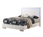 Felicity Full & Twin Panel Bed with LED Lighting Glossy White - National Warehouse Furniture (Buffalo, NY)
