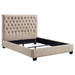 Chloe Queen Beds - National Warehouse Furniture (Buffalo, NY)