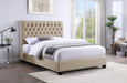 Chloe Queen Beds - National Warehouse Furniture (Buffalo, NY)