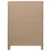 Revello Chests - National Warehouse Furniture (Buffalo, NY)